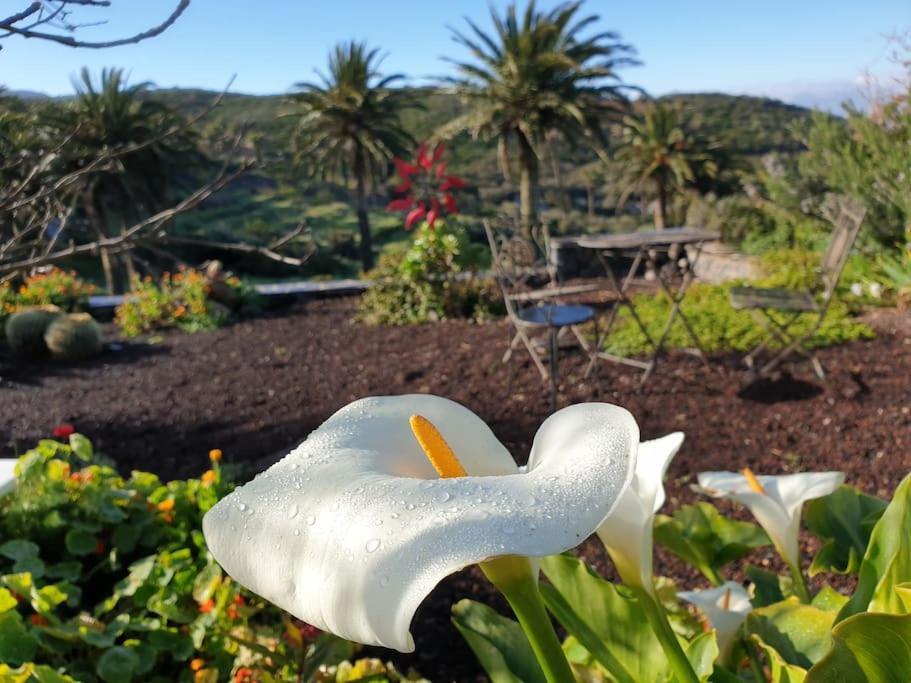 Casa Tara Ruhe Und Entspannung, Natur Pur Acardece エクステリア 写真