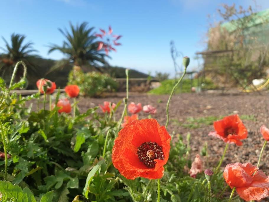 Casa Tara Ruhe Und Entspannung, Natur Pur Acardece エクステリア 写真