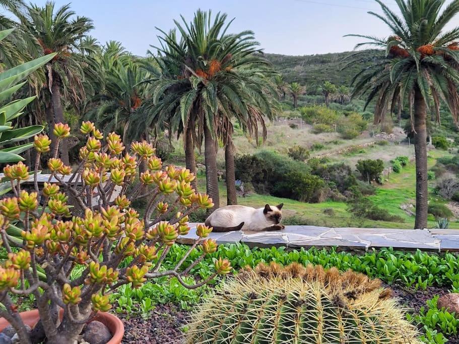 Casa Tara Ruhe Und Entspannung, Natur Pur Acardece エクステリア 写真