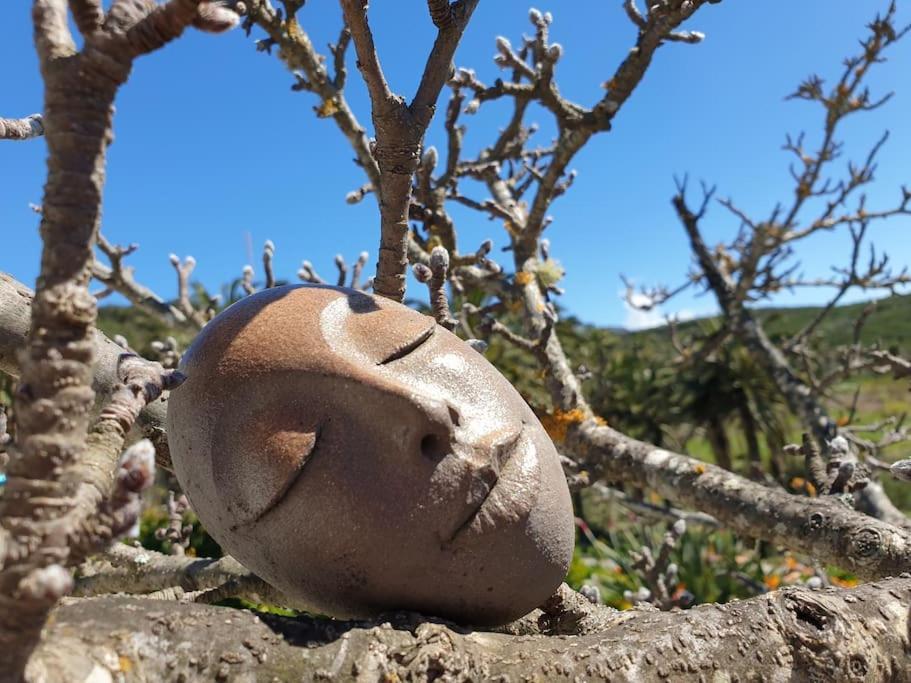 Casa Tara Ruhe Und Entspannung, Natur Pur Acardece エクステリア 写真