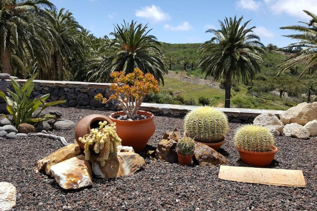 Casa Tara Ruhe Und Entspannung, Natur Pur Acardece エクステリア 写真